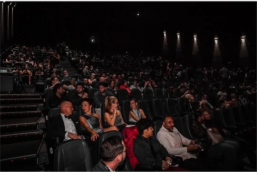 The audience seated before the screening